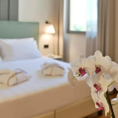 Hotel Torresi